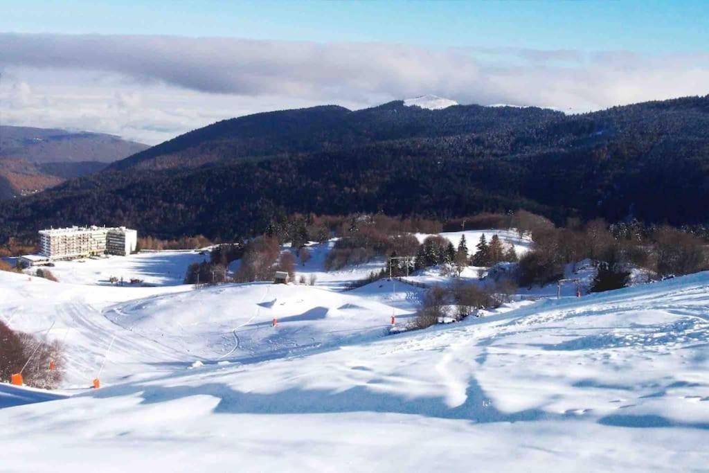 Maison 6 Places, En Plein Coeur De L'ariege, Proche Et Nature Holiday home Lesparrou