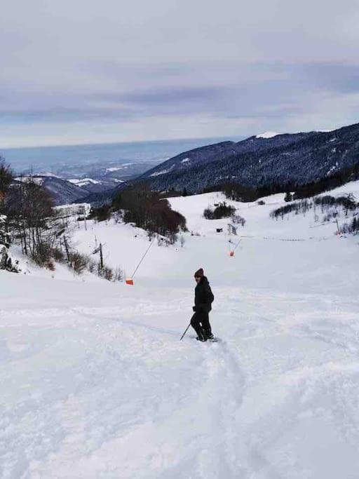 Maison 6 Places, En Plein Coeur De L'ariege, Proche Et Nature Lesparrou
