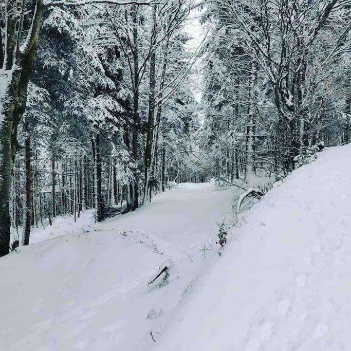 Maison 6 Places, En Plein Coeur De L'ariege, Proche Et Nature Holiday home *